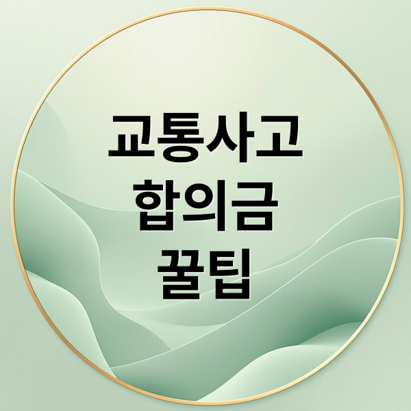 교통사고
합의금
꿀팁 (교통사고 합의금)