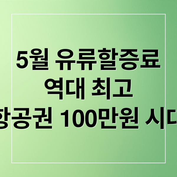 5월 유류할증료
역대 최고
항공권 100만원 시대 (5월 유류할증료 33단계 100만원)