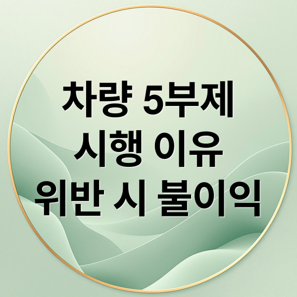차량 5부제
시행 이유
위반 시 불이익 (3월 25일부터 시행되는 차량 5부제 뜻, 위반 과태료 기준,  예외차량, 전기차는?)