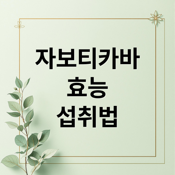 자보티카바
효능
섭취법 (자보티카바 효능)
