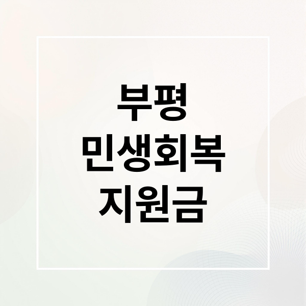 부평
민생회복
지원금 (부평 민생회복지원금 사용처)