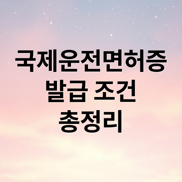 국제운전면허증
발급 조건
총정리 (국제운전면허증)