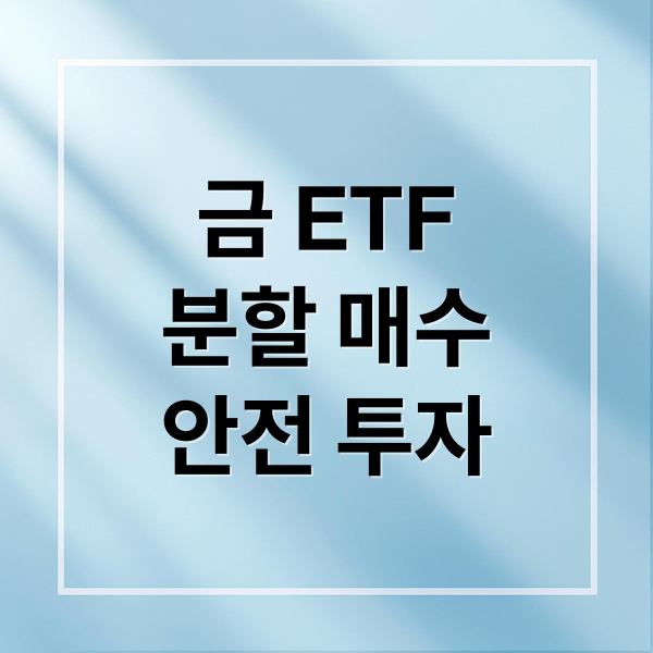 금 ETF
분할 매수
안전 투자 (금 ETF 분할 매수)