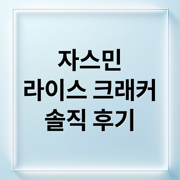자스민
라이스 크래커
솔직 후기 (자스민 라이스 크래커 후기)