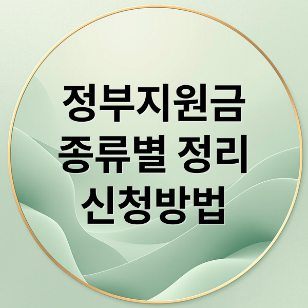 정부지원금
종류별 정리
신청방법 (정부에서 주는돈)