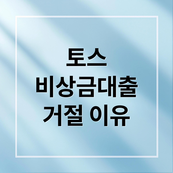 토스
비상금대출
거절 이유 (토스 비상금대출 거절 해결)