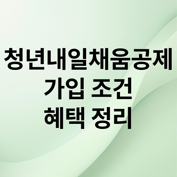청년내일채움공제
가입 조건
혜택 정리 (청년내일채움공제)