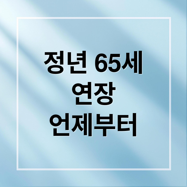 정년 65세
연장
언제부터 (정년연장 법안 시행시기 65세)
