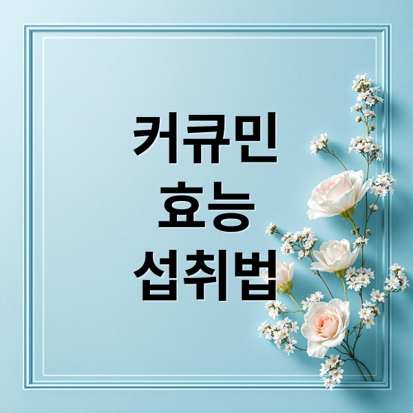커큐민
효능
섭취법 (커큐민 효능 부작용 섭취량)