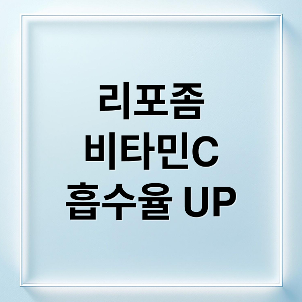 리포좀
비타민C
흡수율 UP (리포좀 비타민c 추천 가격)