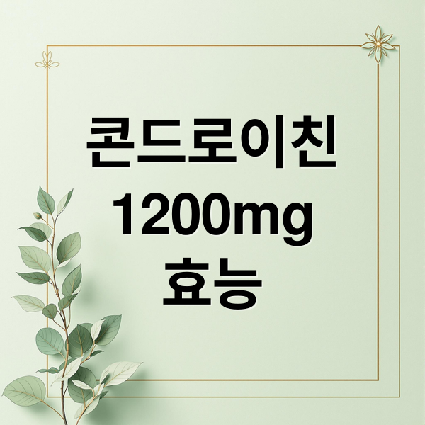 콘드로이친
1200mg
효능 (소연골 콘드로이친 1200mg 좋은습관)