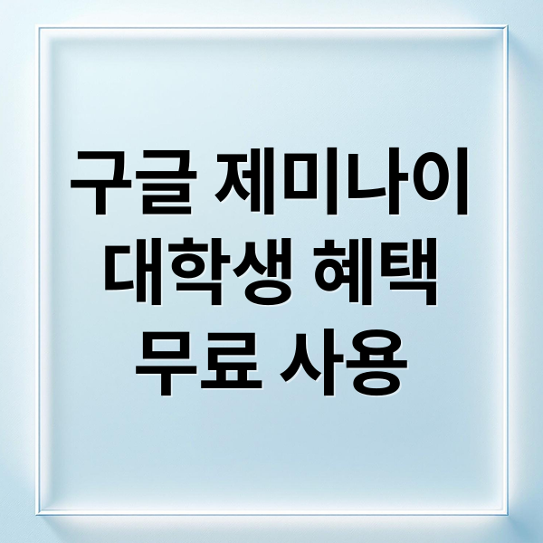 구글 제미나이
대학생 혜택
무료 사용 (제미나이 대학생 무료 프로)