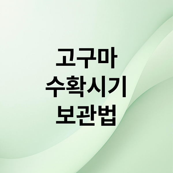 고구마
수확시기
보관법 (고구마 수확시기 방법)