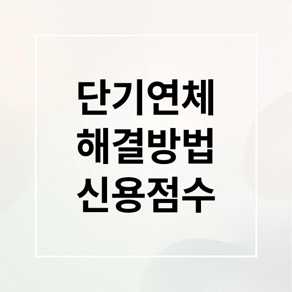 단기연체
해결방법
신용점수 (단기연체기록 삭제 조건)