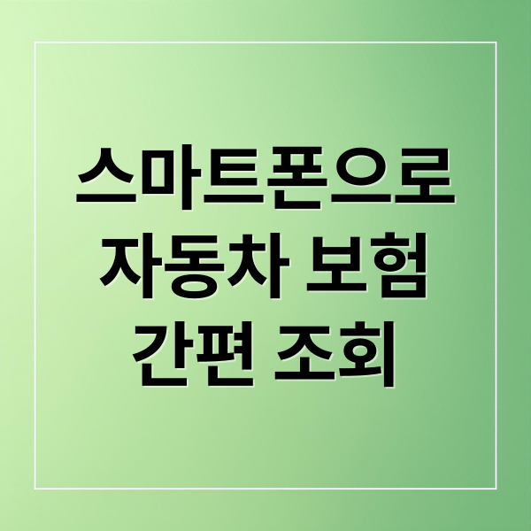 스마트폰으로
자동차 보험
간편 조회 (내 자동차보험 확인 조회 앱)