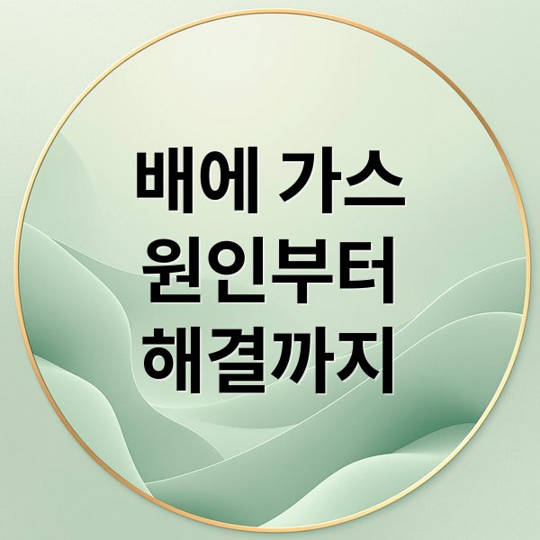 배에 가스
원인부터
해결까지 (배 가스 빼는 법 원인)