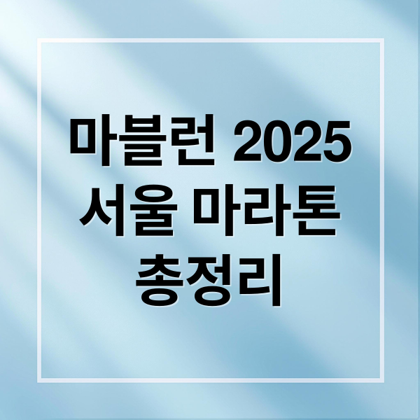 마블런 2025
서울 마라톤
총정리 (마블런 2025)