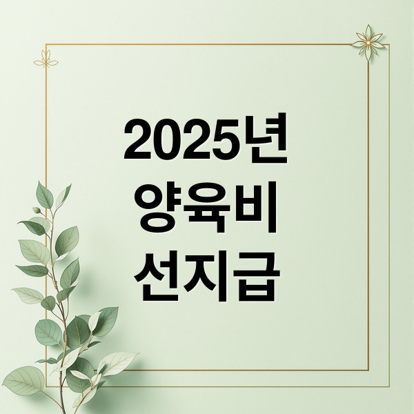 2025년
양육비
선지급 (양육비 선지급)