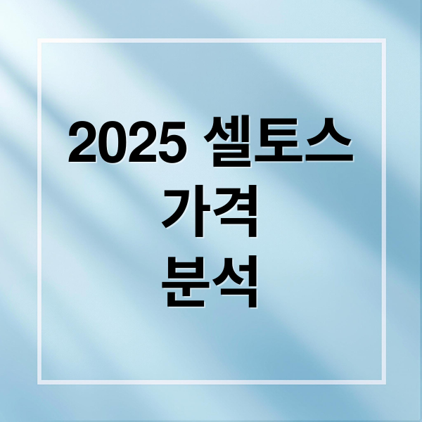 2025 셀토스
가격
분석 (2025 셀토스 가격표)