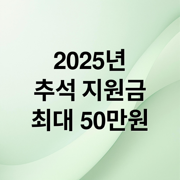 2025년
추석 지원금
최대 50만원 (2025년 추석 지원금 신청 지급일정)