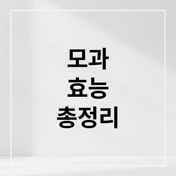 모과
효능
총정리 (모과 효능 건강)