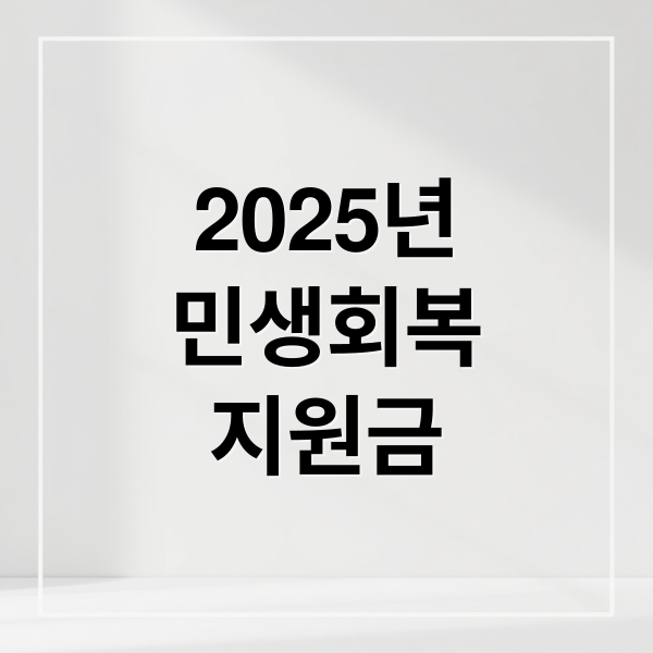 2025년
민생회복
지원금 (2025 2차  민생회복지원금  신청대상 및 조회 방법)
