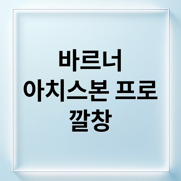 바르너
아치스본 프로
깔창 (바르너 아치스본 프로 깔창 후기)