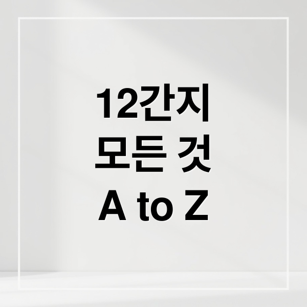12간지
모든 것
A to Z (12간지)