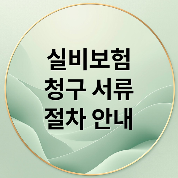 실비보험
청구 서류
절차 안내 (실비보험 청구 서류)