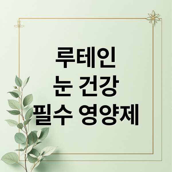 루테인
눈 건강
필수 영양제 (루테인 성분 비교 효과)