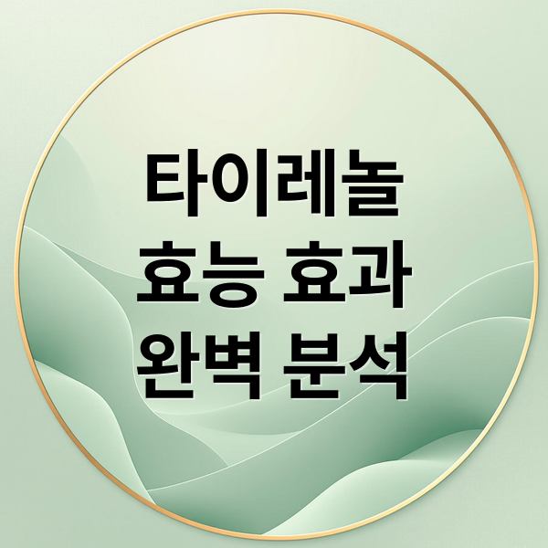 타이레놀
효능 효과
완벽 분석 (타이레놀 효능)