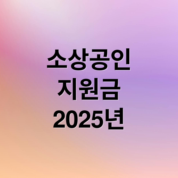 소상공인
지원금
2025년 (소상공인 지원금)