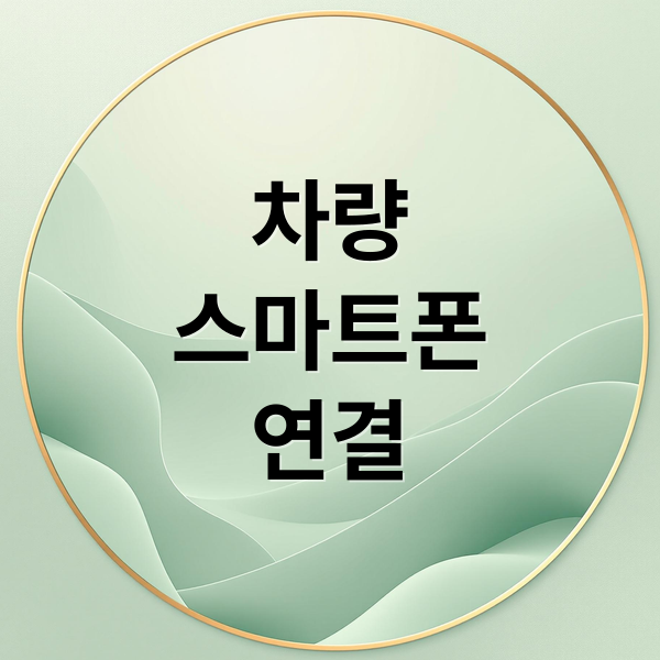 차량
스마트폰
연결 (네비 핸드폰 연결)