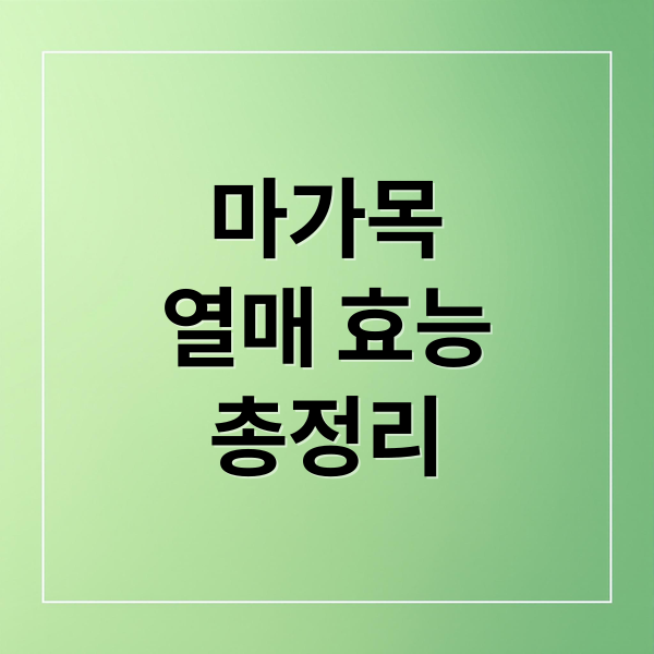 마가목
열매 효능
총정리 (마가목)