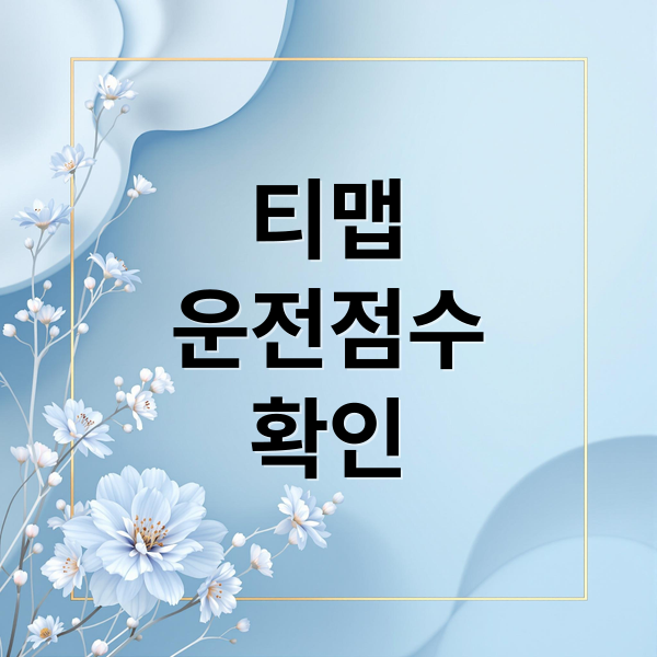 티맵
운전점수
확인 (티맵 운전점수 올리기)