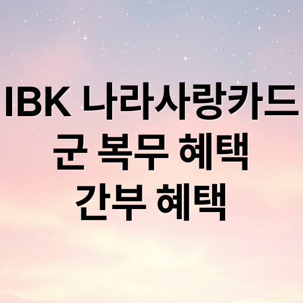 IBK 나라사랑카드
군 복무 혜택
간부 혜택 (IBK나라사랑카드 환급)