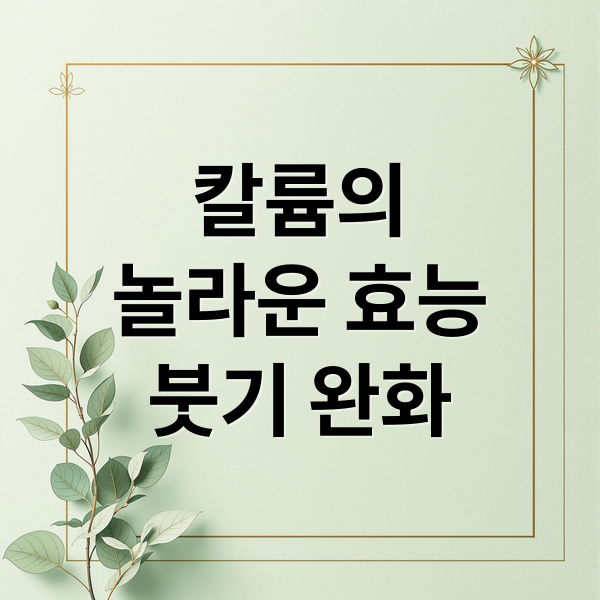 칼륨의
놀라운 효능
붓기 완화 (다이어트 식단 칼륨 풍부 식품)