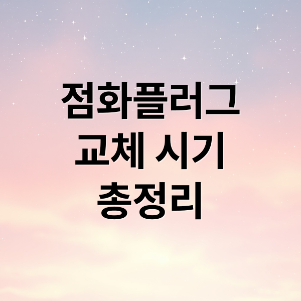 점화플러그
교체 시기
총정리 (자동차 점화플러그 교체시기)