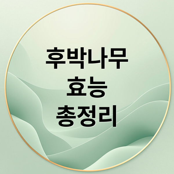 후박나무
효능
총정리 (후박나무 껍질 효능 부작용)