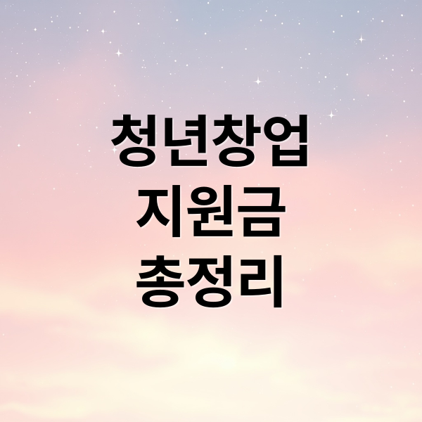 청년창업
지원금
총정리 (청년창업지원금 신청)