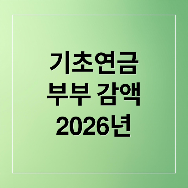 기초연금
부부 감액
2026년 (기초연금 부부감액 기준 계산방법)