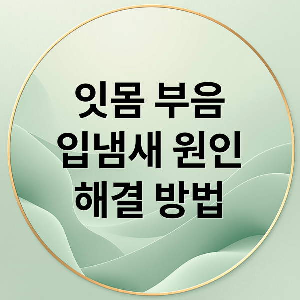 잇몸 부음
입냄새 원인
해결 방법 (잇몸 부음 입냄새)