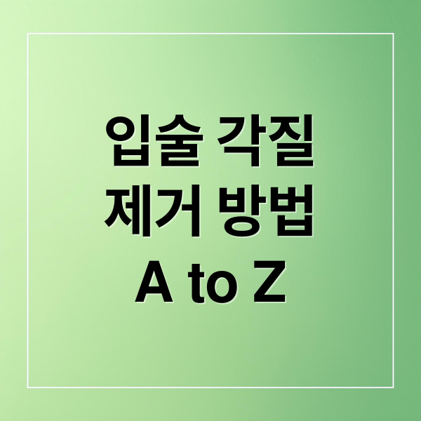 입술 각질
제거 방법
A to Z (입술 각질 제거 루틴)