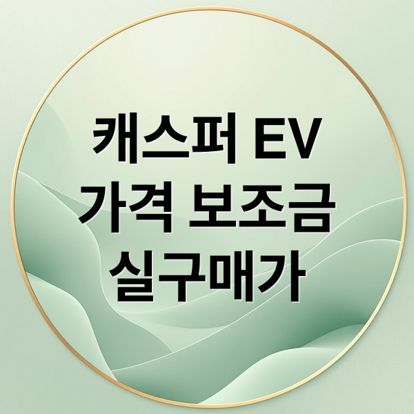 캐스퍼 EV
가격 보조금
실구매가 (캐스퍼 일렉트릭 EV 가격 보조금)