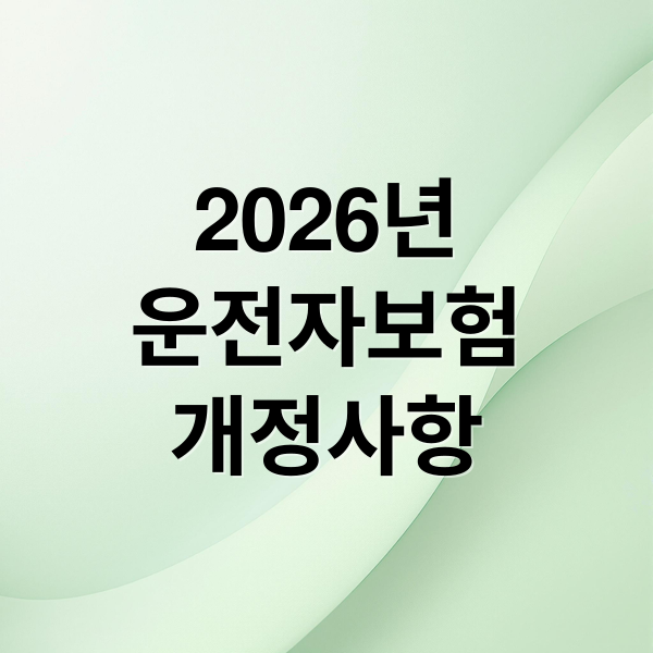 2026년
운전자보험
개정사항 (운전자보험 개정)
