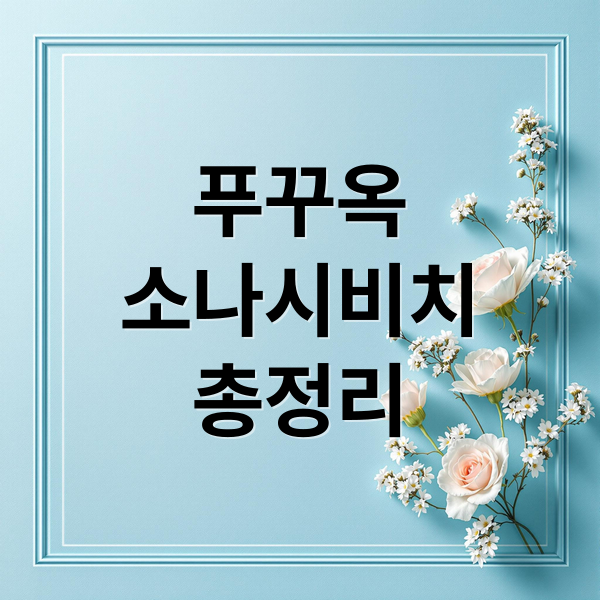 푸꾸옥
소나시비치
총정리 (베트남 푸꾸옥 소나시 비치 바)