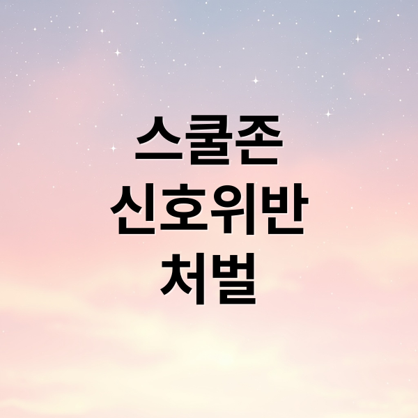 스쿨존
신호위반
처벌 (어린이보호구역 신호위반)