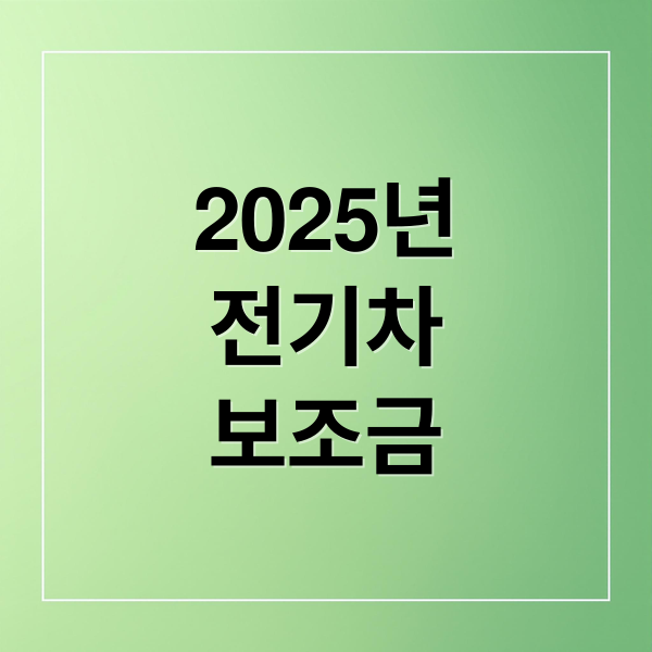 2025년
전기차
보조금 (2025 전기차 보조금)