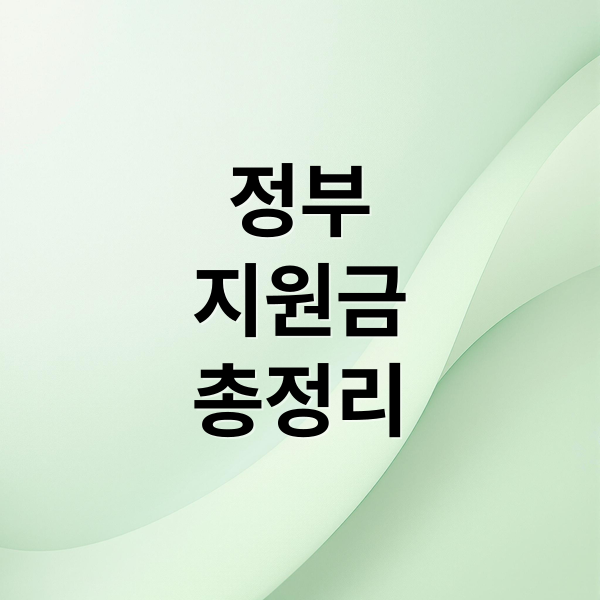 정부
지원금
총정리 (정부지원금 종류)