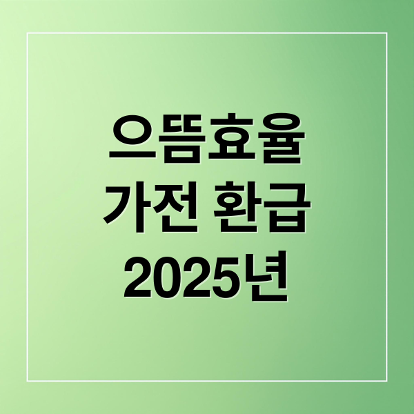 으뜸효율
가전 환급
2025년 (으뜸효율 환급사업)